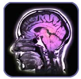 Brain_Clone_Human-Cloning-Explained