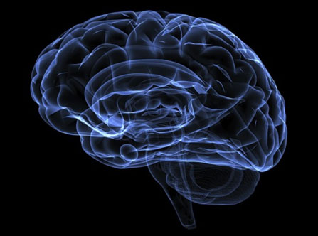 Resuscitation of Brain Functions