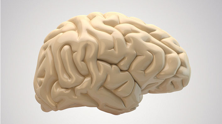 Cryonics-For-life-Technology_Brain-Plasticization